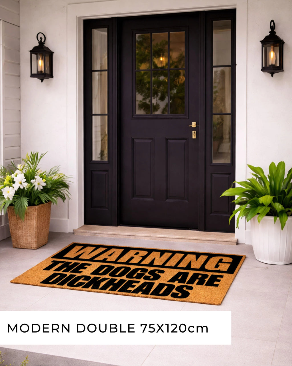 Front door with a humorous doormat and decorative plants. [VARIANT: DOGS / DICKHEADS]