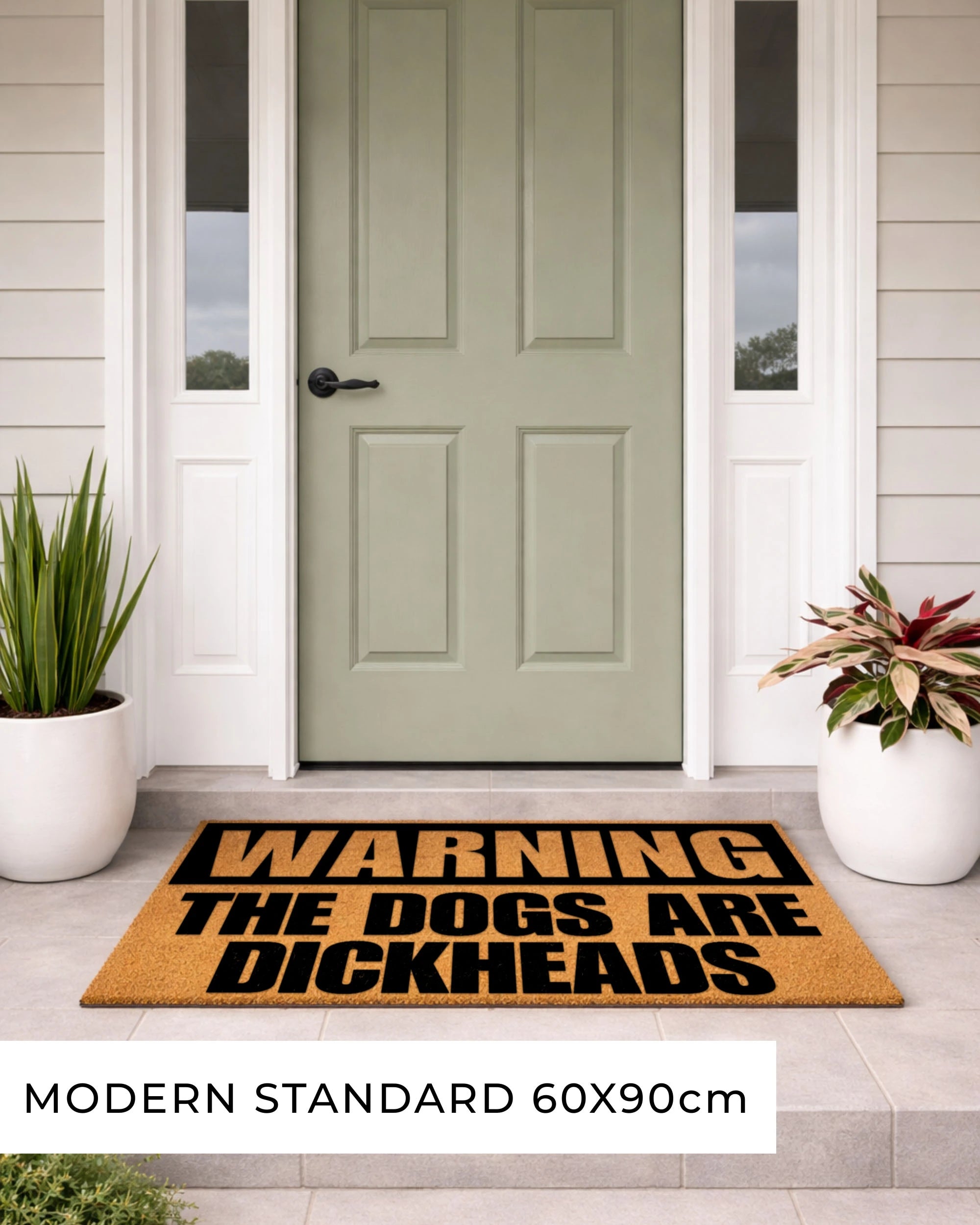 Doormat with humorous text in front of a green door, with plants on either side. [VARIANT: DOGS / DICKHEADS]