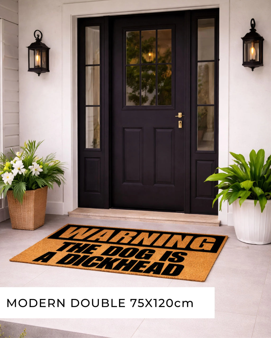 Front door with a humorous doormat and decorative plants. [VARIANT: DOG / DICKHEAD]