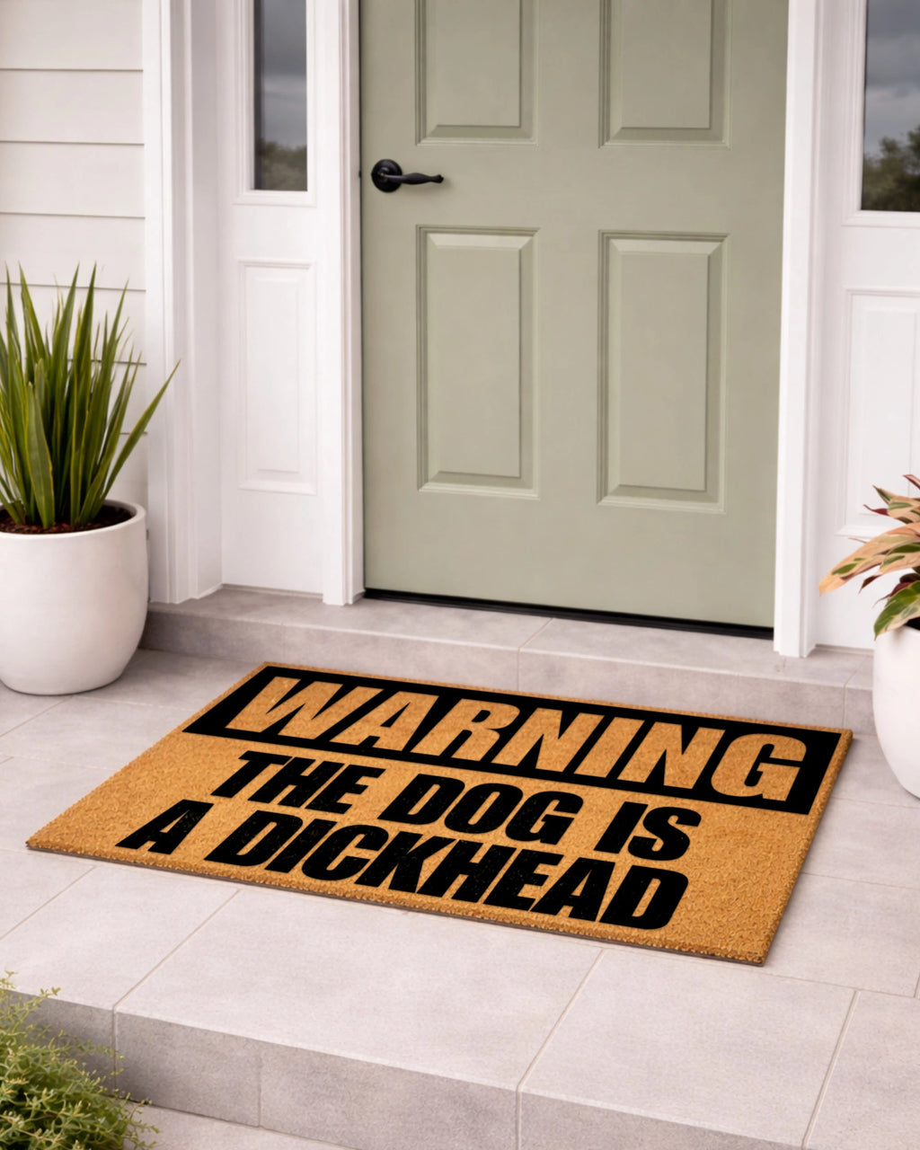 Doormat with humorous text in front of a house entrance [VARIANT: DOG / DICKHEAD]