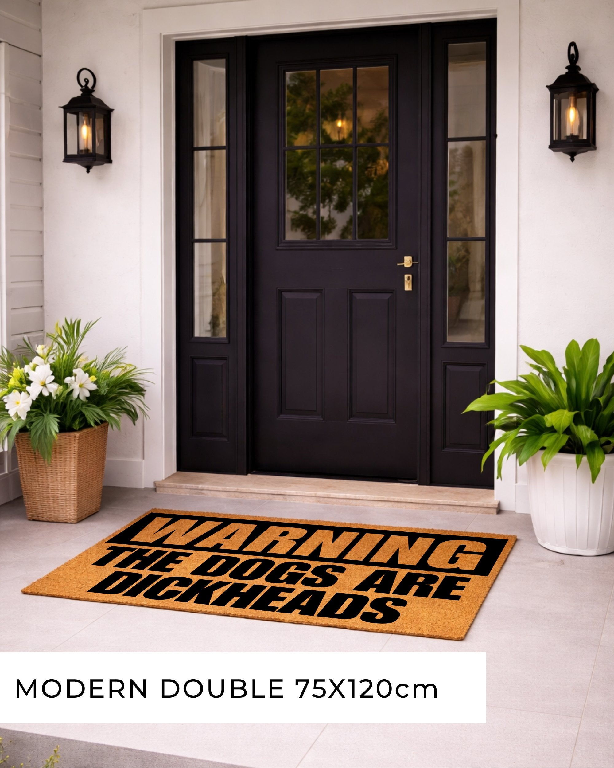 Front door with a humorous doormat and decorative plants. [variant: dogs-dickheads]