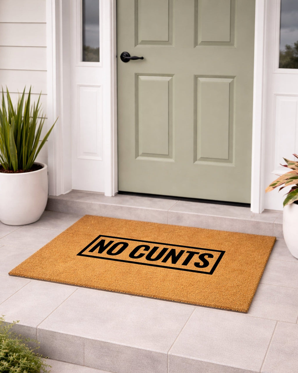 Doormat with 'NO CUNTS' text in front of a house entrance [variant: block]